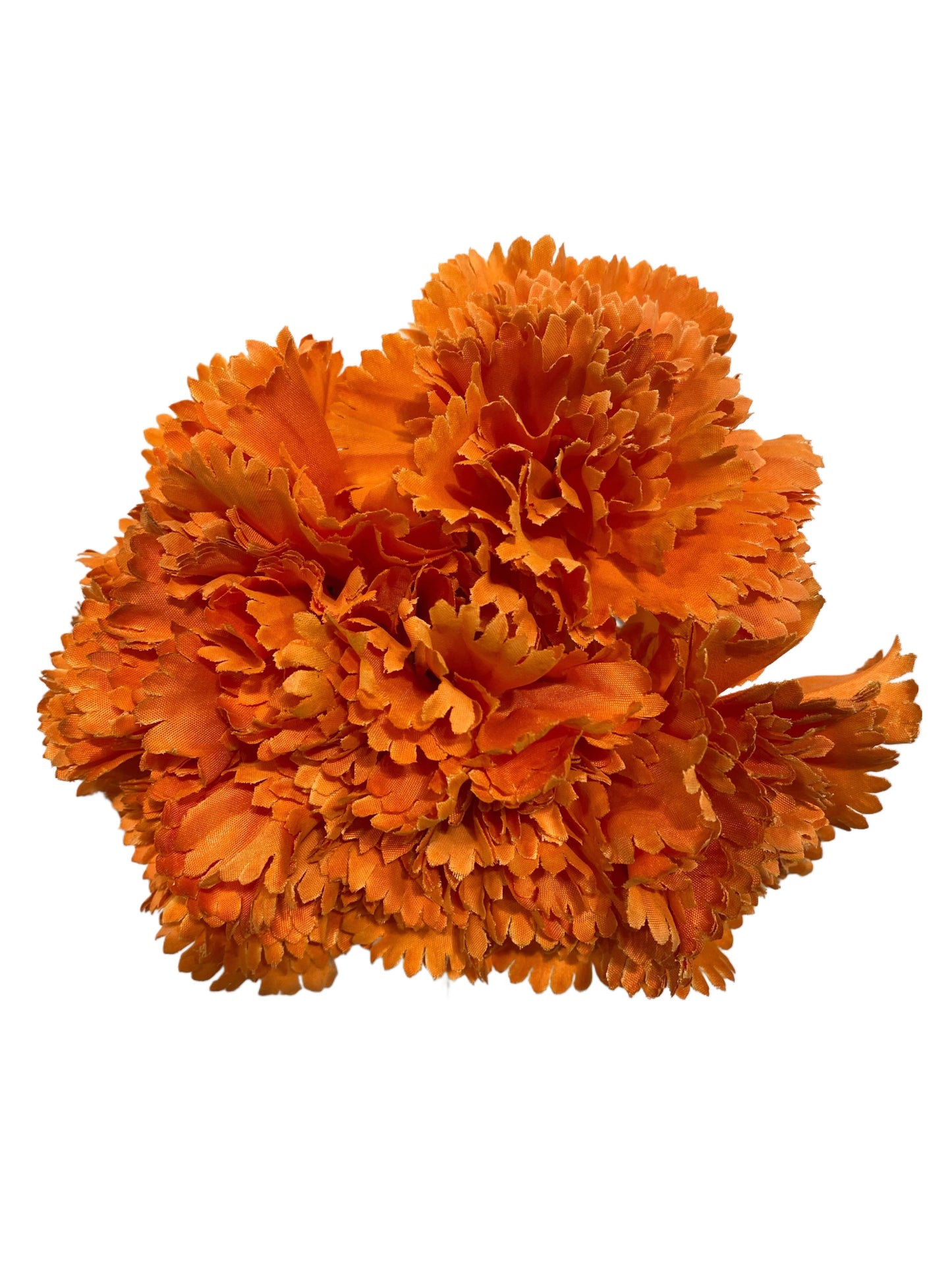 CLAVEL - Emma Wu Design - 5CLAVEL