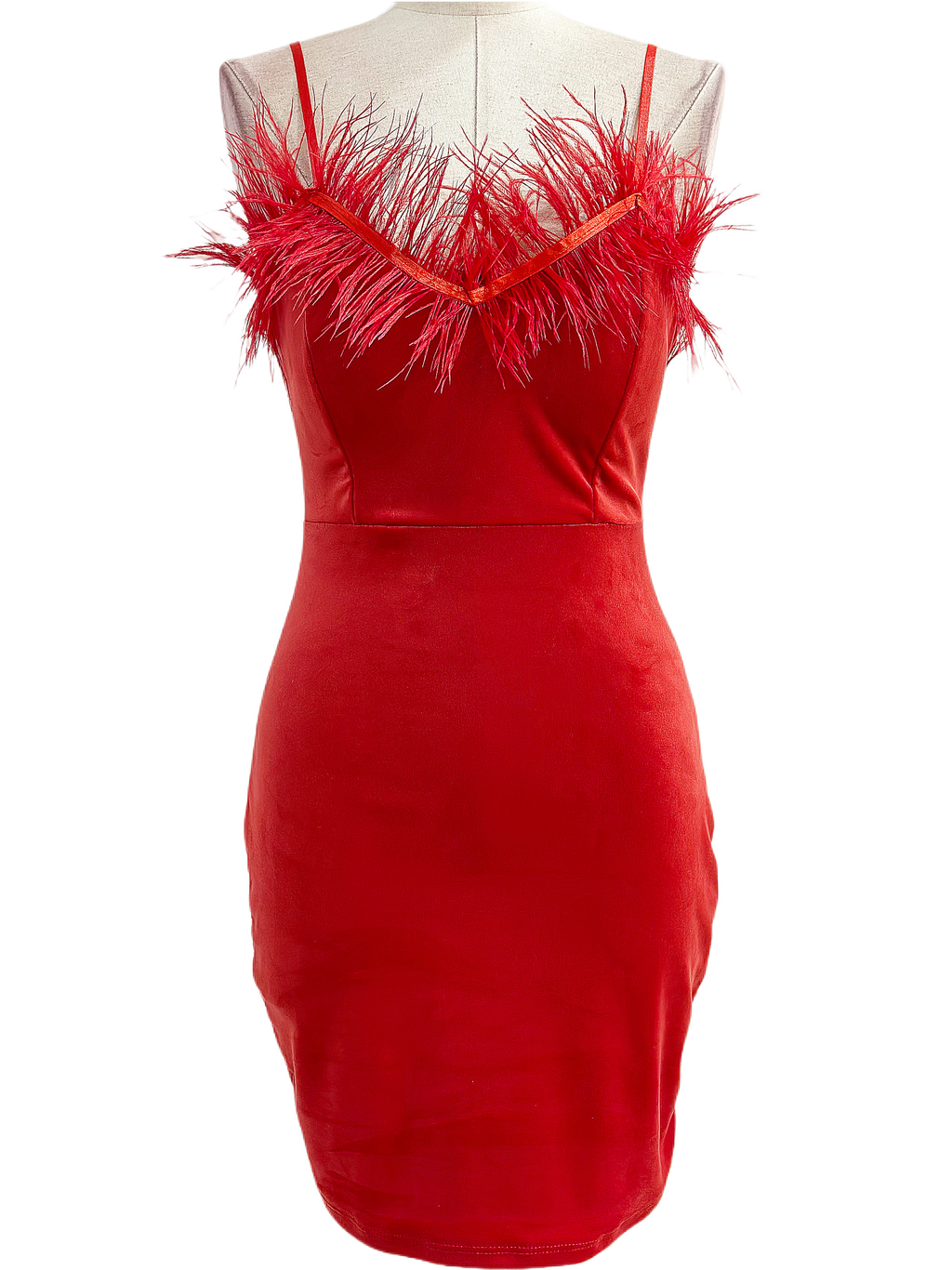 ROBE À PLUMES 22256 - Emma Wu Design