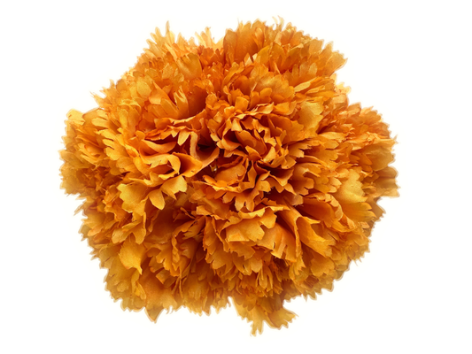 CLAVEL - Emma Wu Design - 4CLAVEL